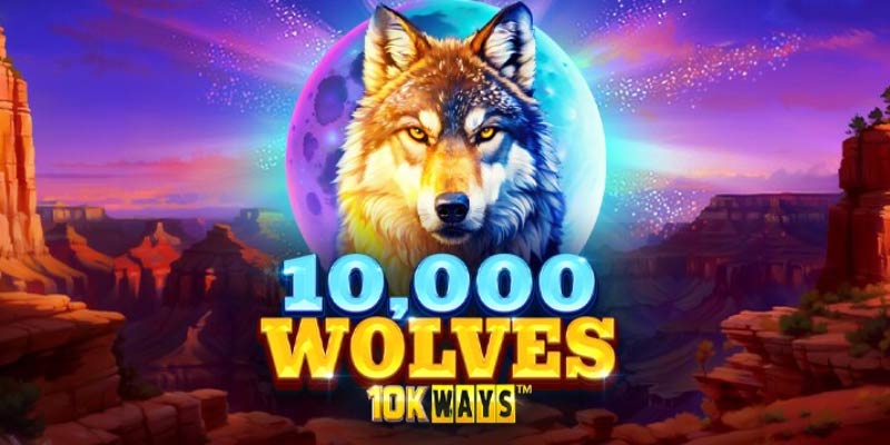 Unleash the Adventure with 10000 Wolves 10k Ways