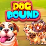 Dog Pound Slots